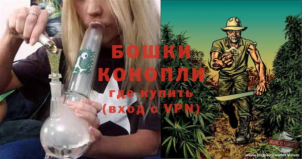 сатива Медногорск