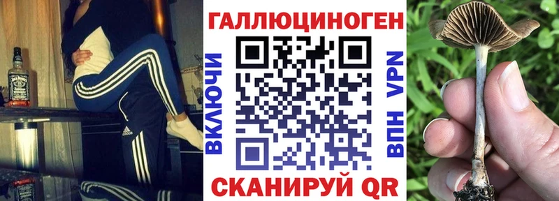 Псилоцибиновые грибы Psilocybe  Вичуга 