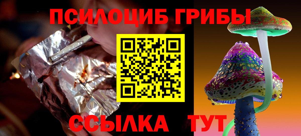 Псилоцибиновые грибы Cubensis  Вичуга 