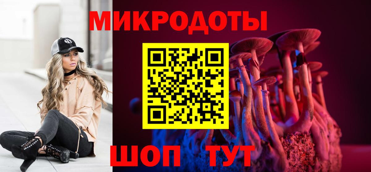 Галлюциногенные грибы Psilocybe  Псилоцибиновые грибы ЛСД  Вход с VPN  Вичуга 