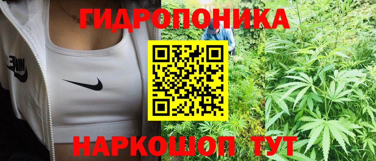 Шишки марихуана THC 21%  Конопля THC 21%  Вичуга  Бошки Шишки индика 